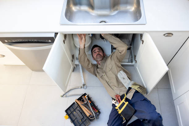 Best Commercial Plumbing Services  in Mlstadt, IL