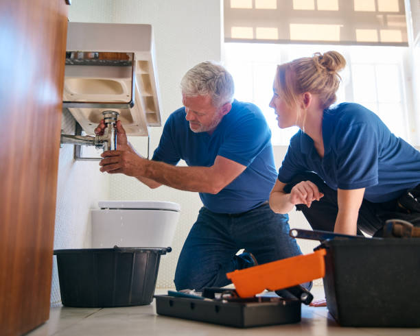 Best Affordable Plumbing Services  in Mlstadt, IL